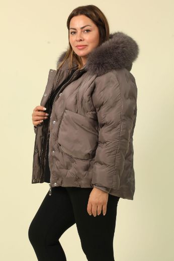 Picture of Aysel 62097xl BROWN Plus Size Women Puffer Coat 