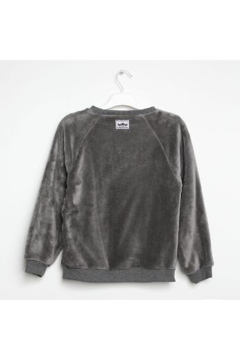 Picture of Nanica 322317 SMOKED PEARL Boy Sweatshirt