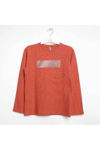 Picture of Nanica 322309 BRICK Boy Sweatshirt