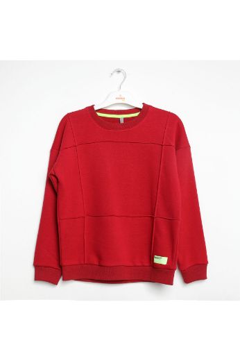 Picture of Nanica 322305 BURGUNDY Boy Sweatshirt