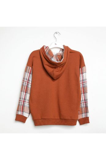 Picture of Nanica 322307 BROWN Boy Sweatshirt