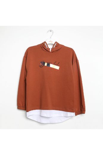 Picture of Nanica 422313 BROWN Girl Sweatshirt