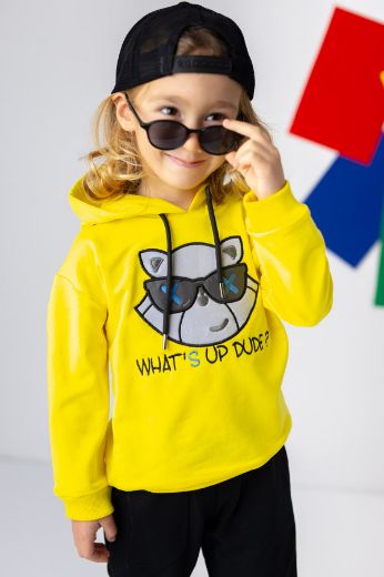 Picture of Zeyland 241Z3SVC61 YELLOW Boy Sweatshirt