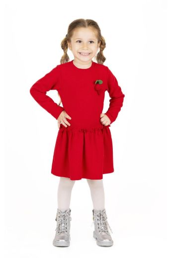 Picture of Best Kids BB23KK12196 RED Girl Dress