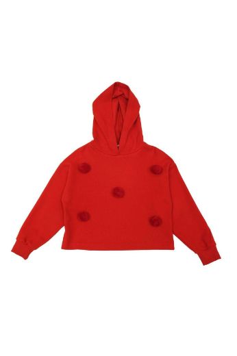 Picture of Best Kids BK23KK14267 RED Girl Sweatshirt