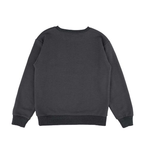 Picture of Best Kids BK23KE14530 ANTHRACITE Boy Sweatshirt