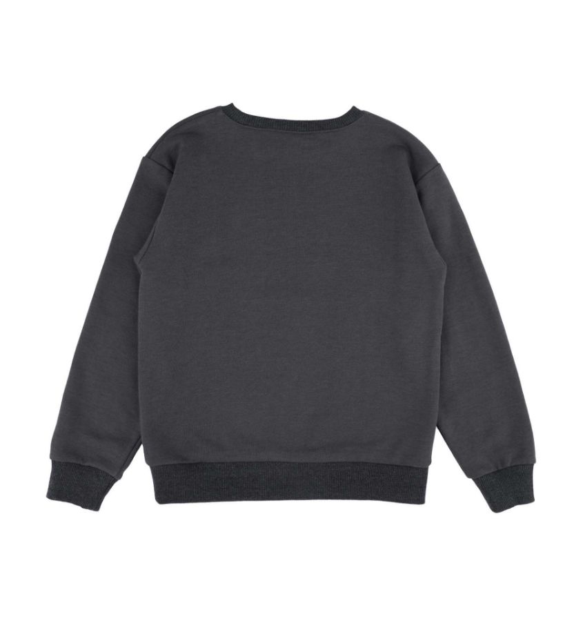 Best Kids BK23KE14530 ANTRASIT Erkek Çocuk Sweatshirt resmi