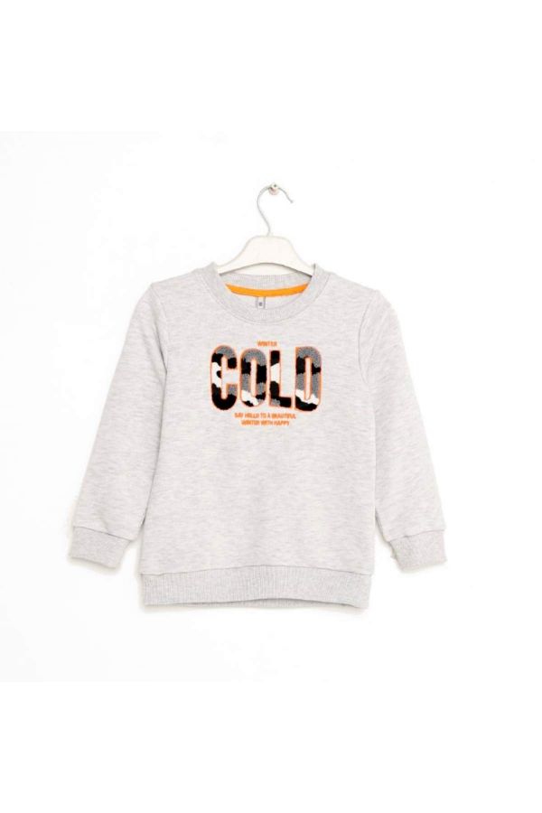 Picture of Nanica 323308 LIGHT GREY Boy Sweatshirt